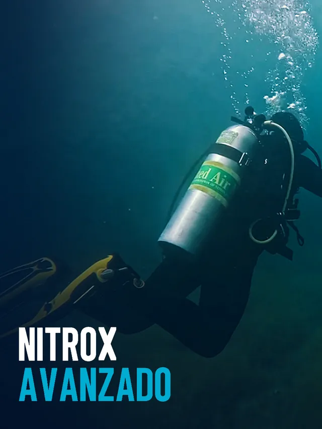 Buzo con tanque de nitrox descendiendo en aguas verdes