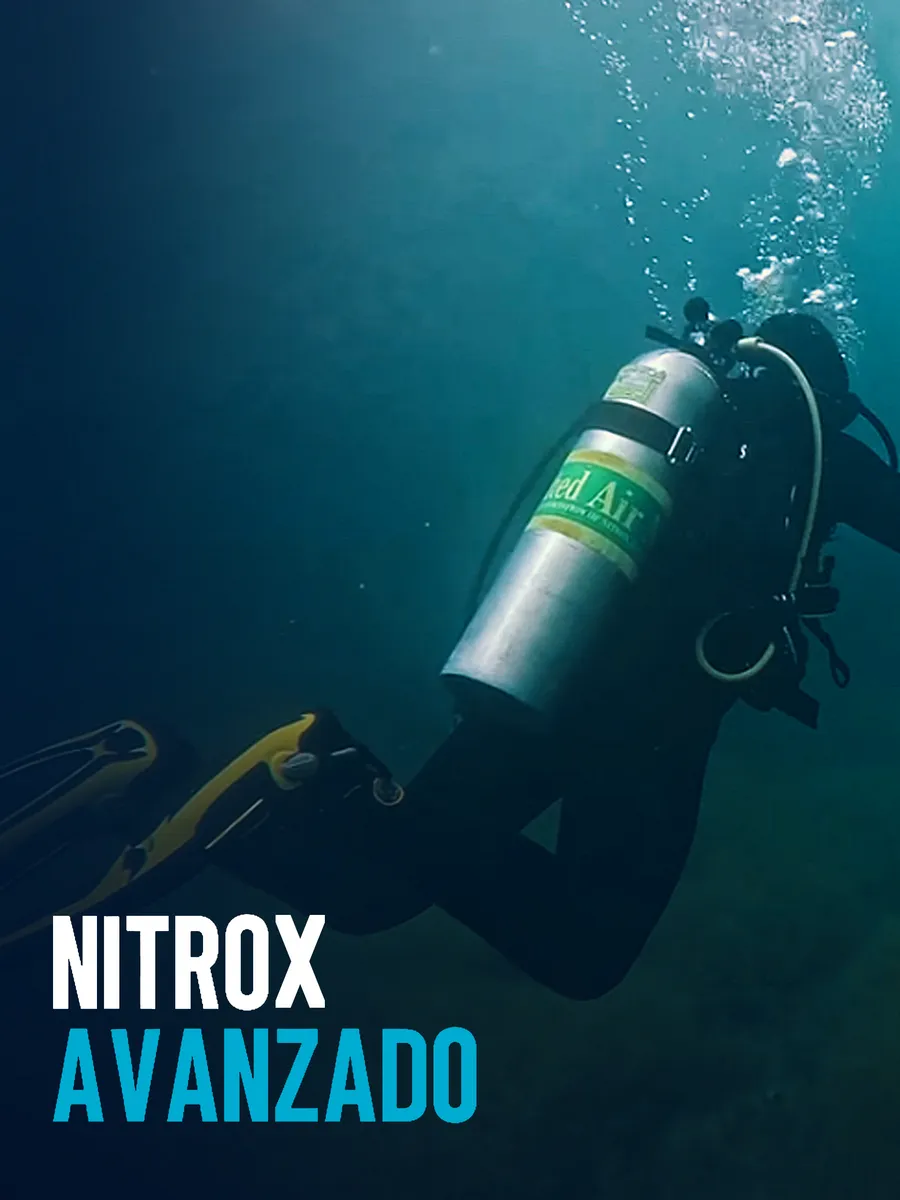 Buzo con tanque de nitrox descendiendo en aguas verdes